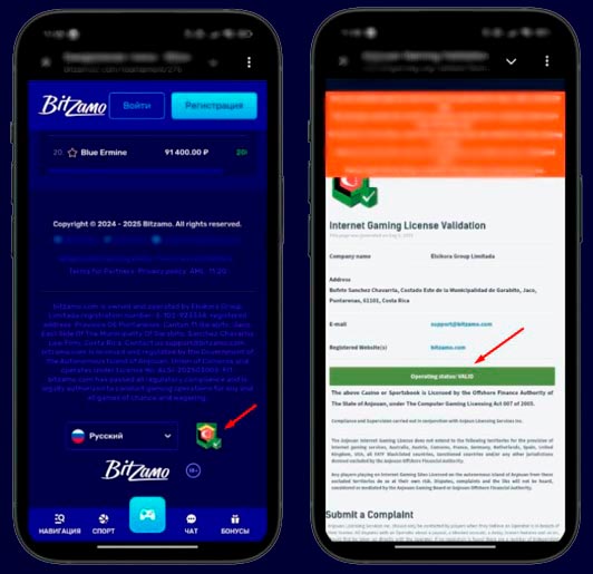 Лицензия Bitzamo Casino 